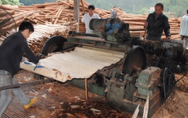 Thay thế biến tần cho máy bóc gỗ