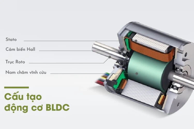 Cấu tạo của động cơ BLDC